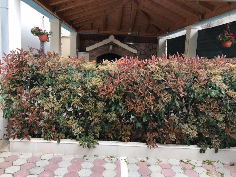 Apartmani Mane Apartment Trogir